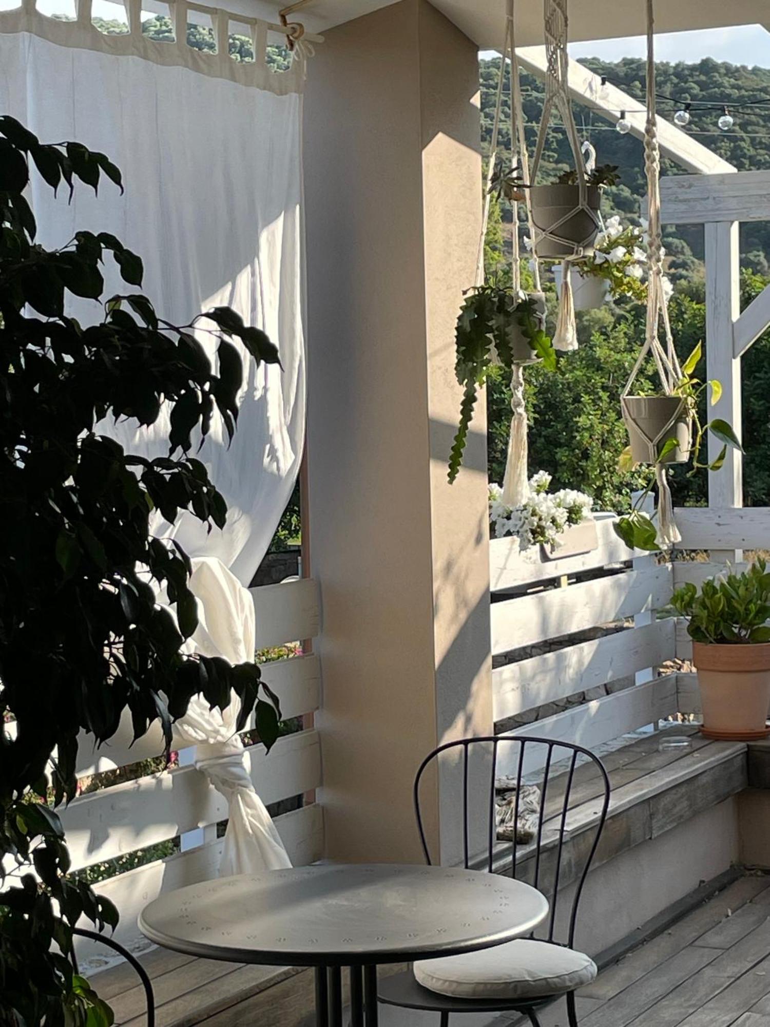 بودوني La Pecora Nera B&B المظهر الخارجي الصورة